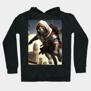 Cat assassin Hoodie